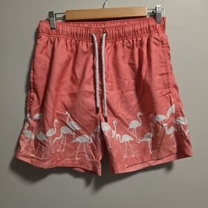 Vibrant Flamingo Print Mens Swim Shorts